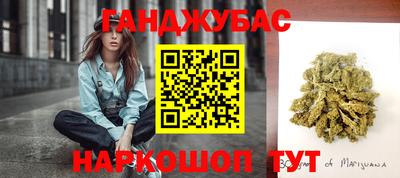 стаф Новокубанск