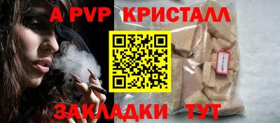 стаф Новокубанск