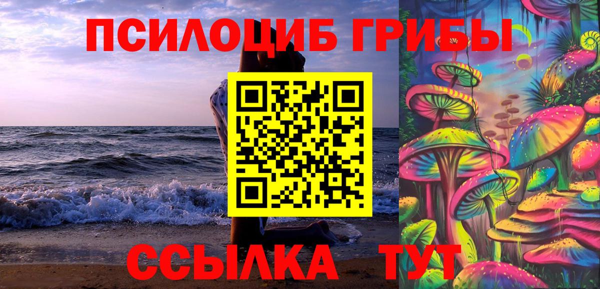где найти наркотики  Вход с VPN  Родники  Галлюциногенные грибы Magic Shrooms 